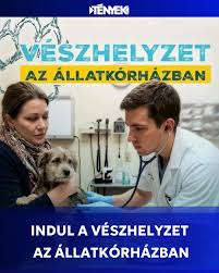 Vészhelyzet az állatkórházban borítókép