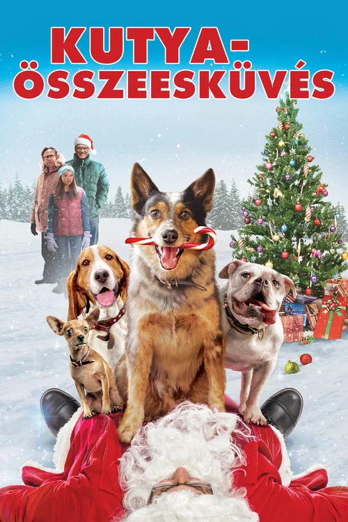 Kutyaösszeesküvés borítókép