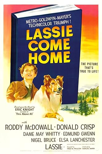 Lassie hazatér