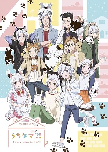 Uchi Tama?! Uchi no Tama Shirimasen ka? borítókép