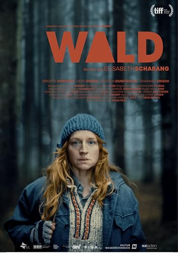 Wald-Vissza az erdőbe