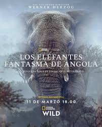 Angola szellemelefántjai borítókép