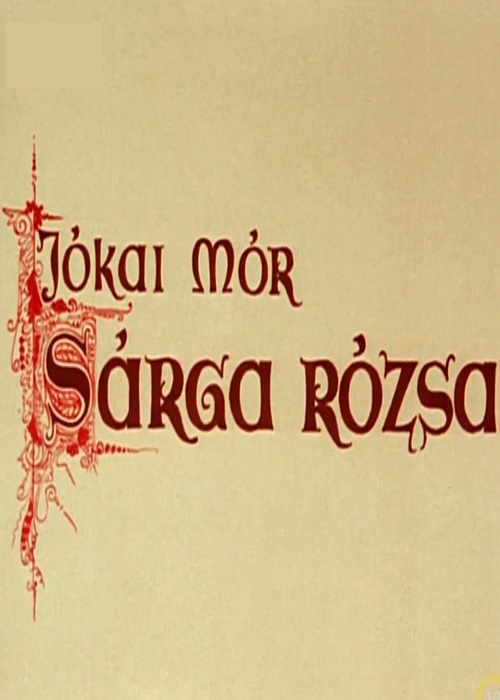 Sárga rózsa borítókép