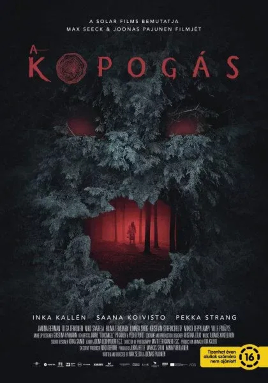 A kopogás