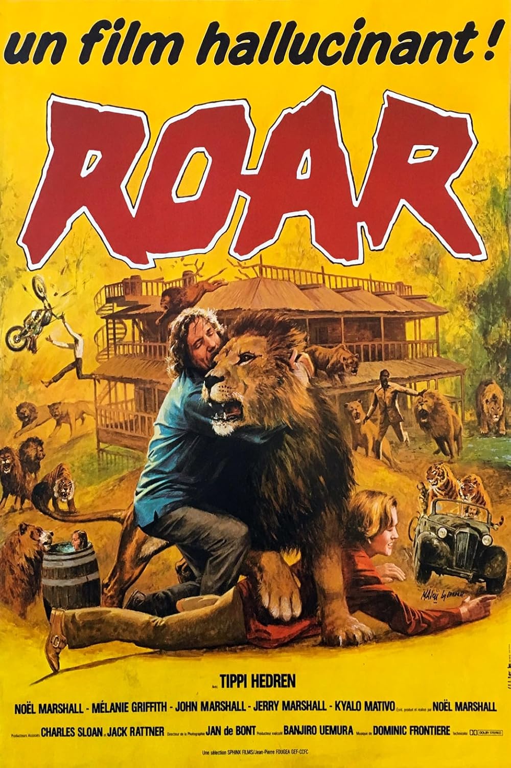 Roar borítókép
