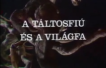 A táltosfiú és a világfa borítókép