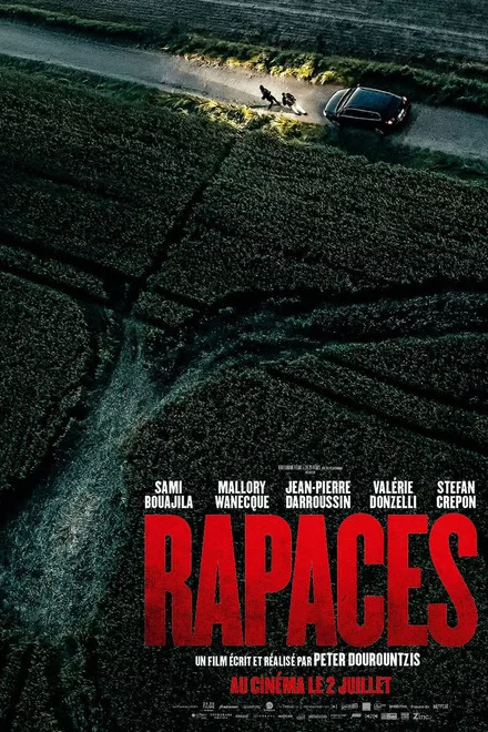 Keselyűk (Rapaces / Vultures) borítókép