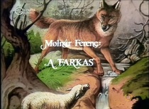 A farkas borítókép