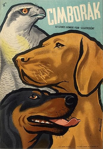 Cimborák - Hegyen-völgyön borítókép