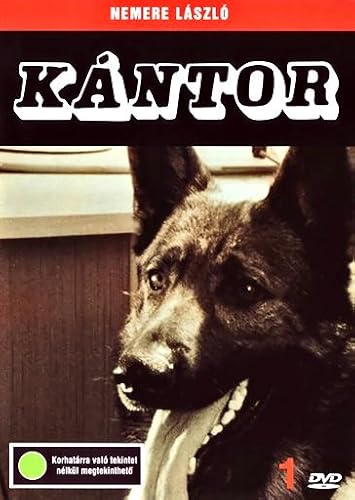 Kántor