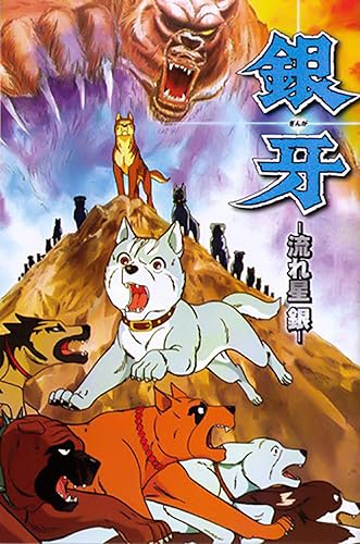 Ezüstnyíl borítókép