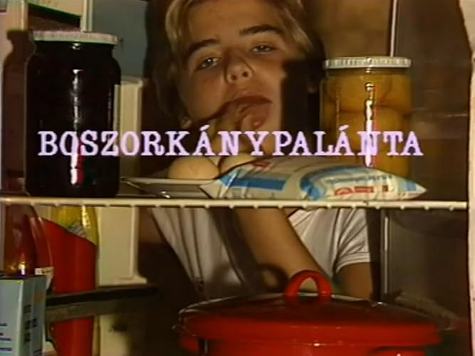 Boszorkánypalánta
