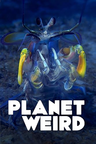 Furcsa bolygónk (Planet Weird)