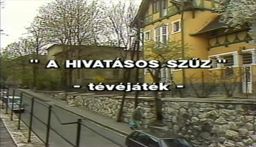A hivatásos szűz borítókép