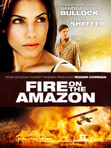 Az Amazon borítókép