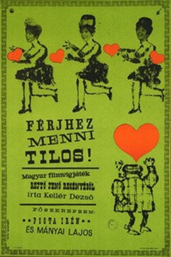 Férjhez menni tilos! borítókép