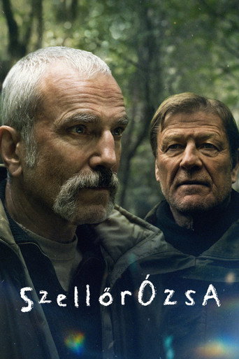 Anemone-(Szellőrózsa) borítókép