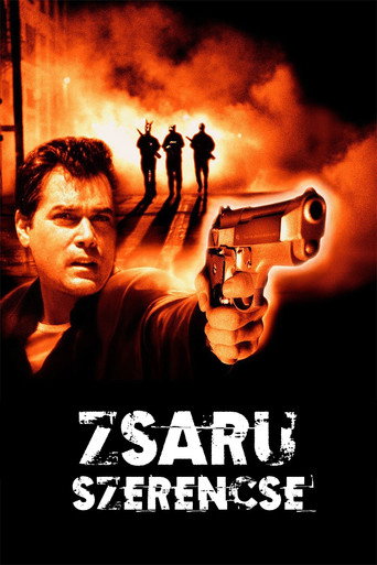 Zsaruszerencse borítókép