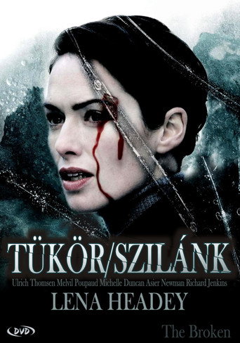 Tükör/Szilánk borítókép