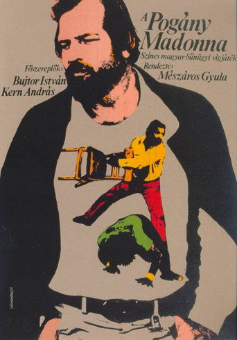 A pogány madonna borítókép