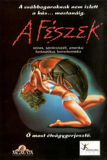 A fészek - The Nest borítókép