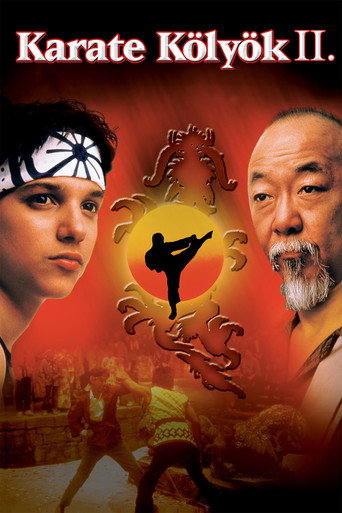 Karate kölyök 2. borítókép